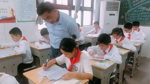 督導清風入校來，指導發展潤無聲——東臺創新小學迎雛陽投資與創新教育集團綜合督導記